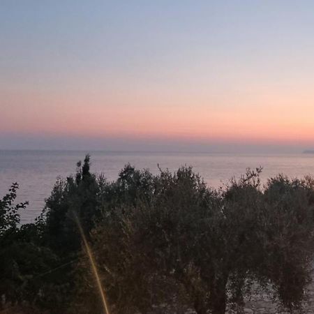 Αrilla Studios Perdika  Bagian luar foto