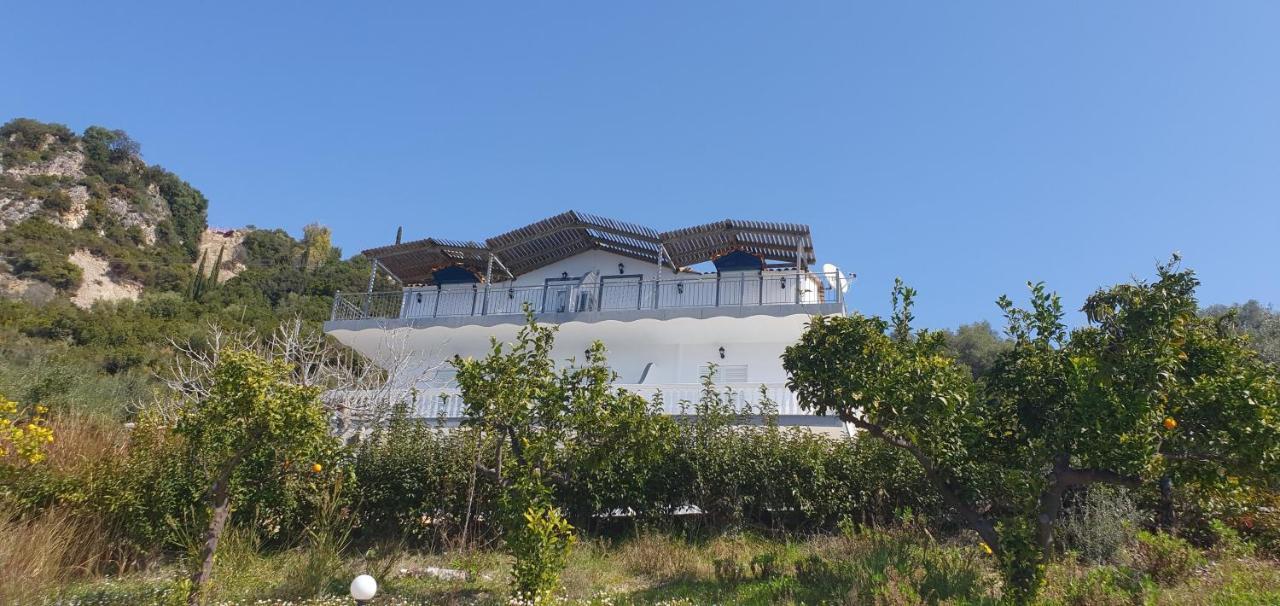 Αrilla Studios Perdika  Bagian luar foto