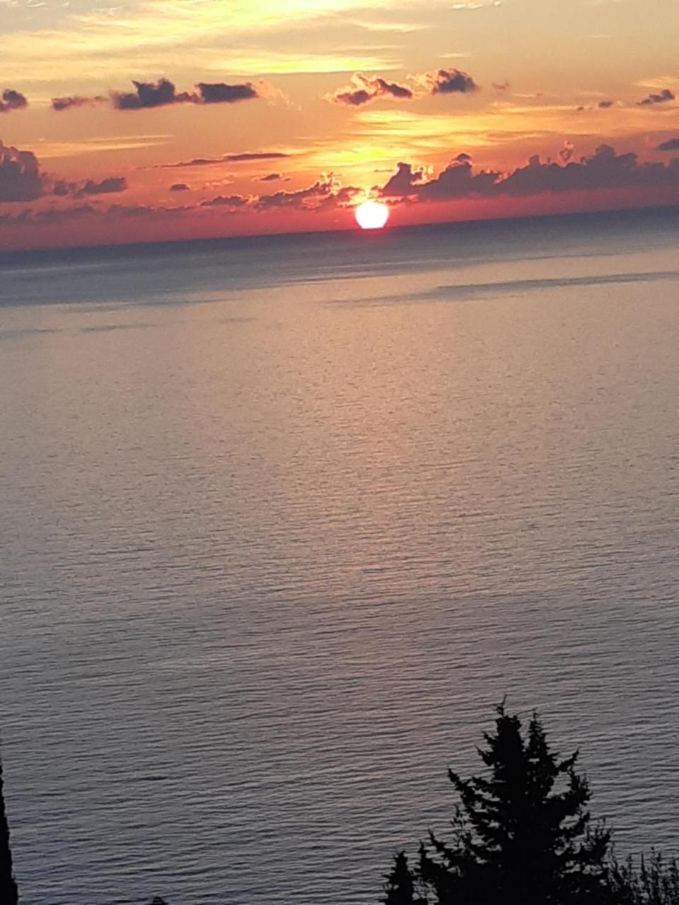 Αrilla Studios Perdika  Bagian luar foto